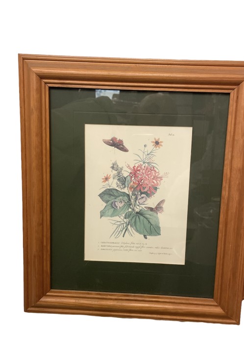 Γκραβούρα με λουλούδια σε κάδρο από φυσική οξιά Αγγλικής κατασκευής 32x37cm