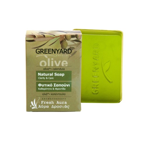 Φυτικό Σαπούνι δροσερή αύρα Greenyard