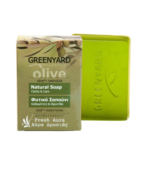 Φυτικό Σαπούνι δροσερή αύρα Greenyard