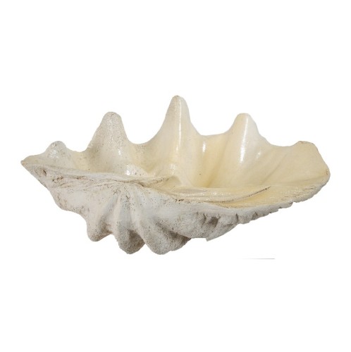 Κοχύλι διακοσμητικό - 64.10cm  x 41.90cm  x 21.60cm