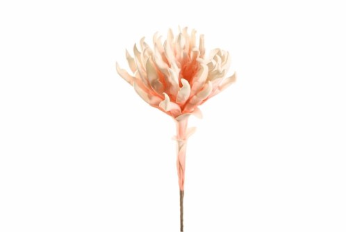 Artekko Διακοσμητική Τεχνητή Σομόν King Protea 76cm - 15cm  x 15cm  x 76cm