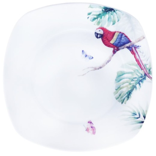 Πιάτο φαγητού 27cm τετράγωνο σχέδιο παπαγάλοι TC-4573 - 27cm  x 27cm 