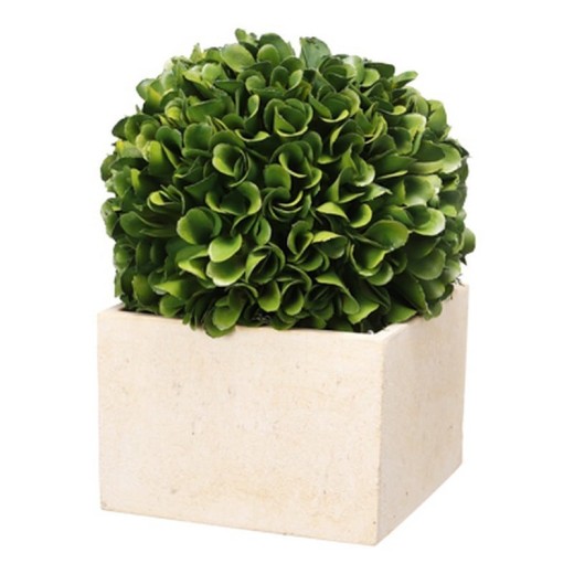 Τεχνητός πύξος σε κασπώ - 14cm  x 14cm  x 18cm