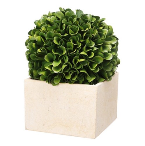 Τεχνητός πύξος σε κασπώ - 14cm  x 14cm  x 18cm