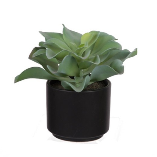 Τεχνητό παχύφυτο σε κασπώ - 19cm  x 19cm  x 16cm