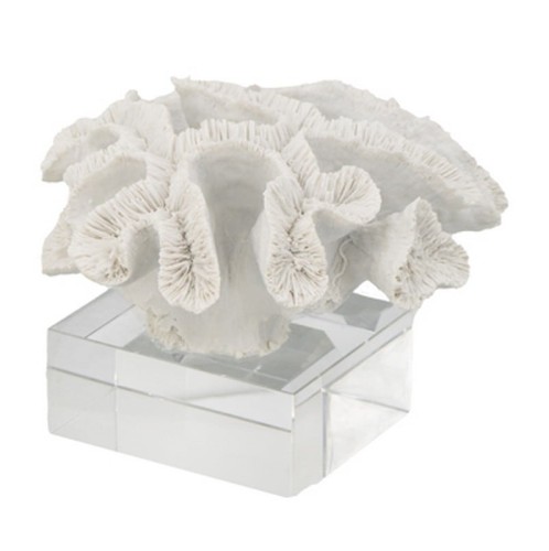 Διακοσμητικό άσπρο κοράλι σε γυάλινη βάση  22.9 X 21.6 X 16cm - 22.9cm  x 21.6cm  x 16cm