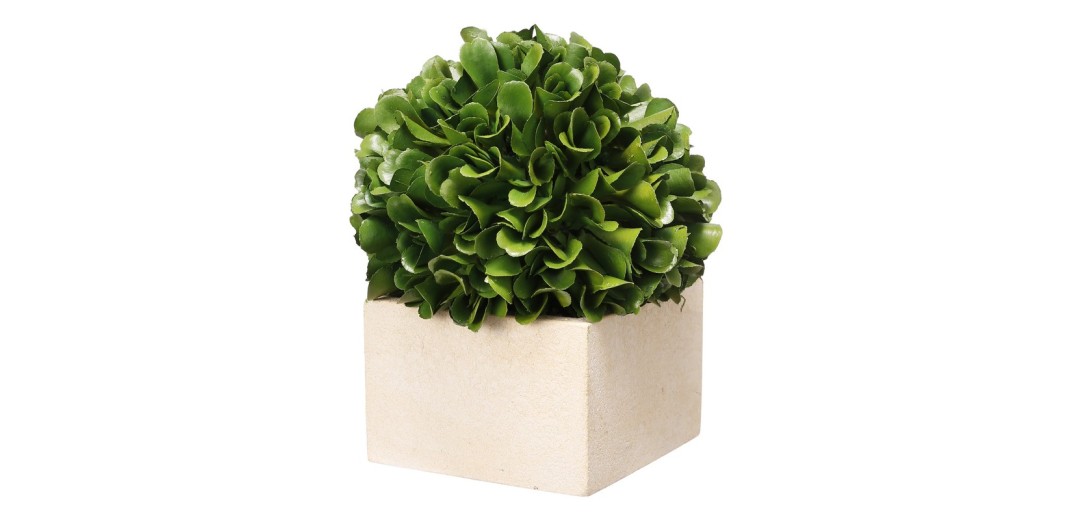 Artekko Boxwood Τεχνητός Πύξος σε Γλαστράκι Πλαστικό Πράσινο (11.4x11.4x14)cm - 11.43cm  x 11.43cm  x 14cm