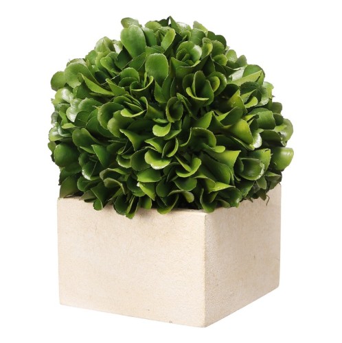 Artekko Boxwood Τεχνητός Πύξος σε Γλαστράκι Πλαστικό Πράσινο (11.4x11.4x14)cm - 11.43cm  x 11.43cm  x 14cm