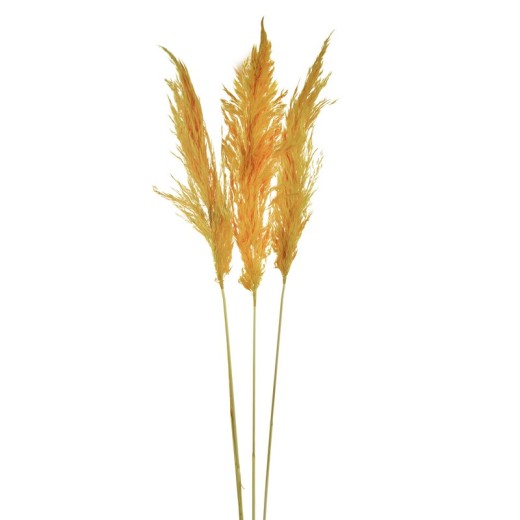 Artekko Pampass Μπουκέτο με Κίτρινο Πάμπας (5x15x95)cm - 5cm  x 15cm  x 95cm