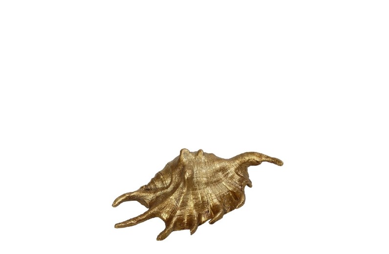 ΚΟΧΥΛΙ ΧΡΥΣΟ  15X7,5X4,5CM.