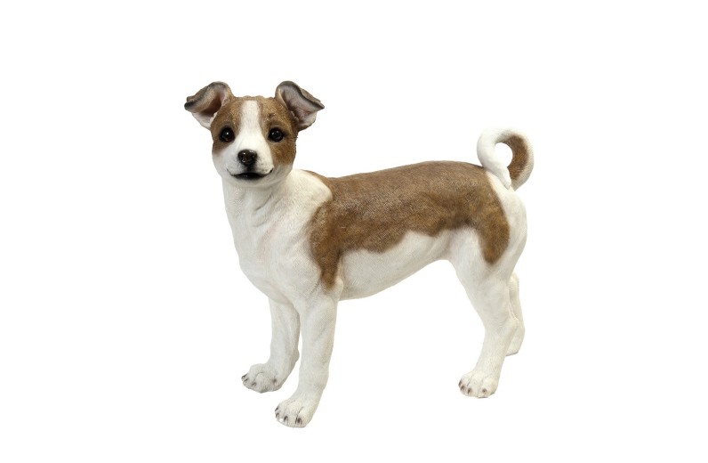 ΦΙΓΟΥΡΑ ΣΚΥΛΟΣ  JACK RUSSELL TERRIER ΠΟΛΥΡΕΖ. 41,5Χ21Χ36,3ΕΚ