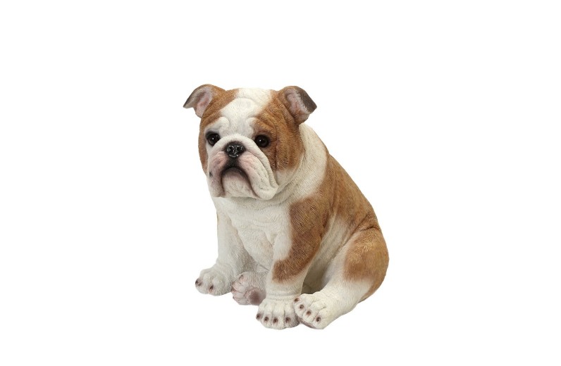 ΦΙΓΟΥΡΑ ΣΚΥΛΟΣ BULLDOG ΠΟΛΥΡΕΖ. 20Χ14,5Χ19,5ΕΚ