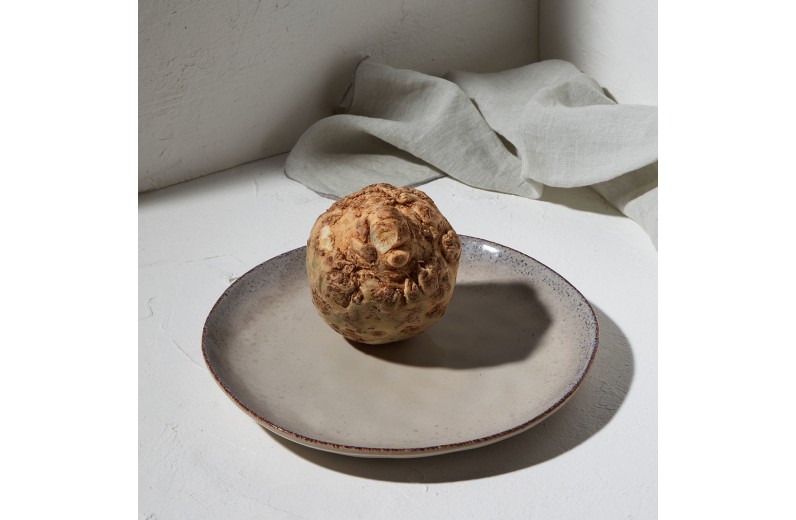 ESTIA ΠΙΑΤΟ ΡΗΧΟ VIGNETTE STONEWARE 27cm SEAL