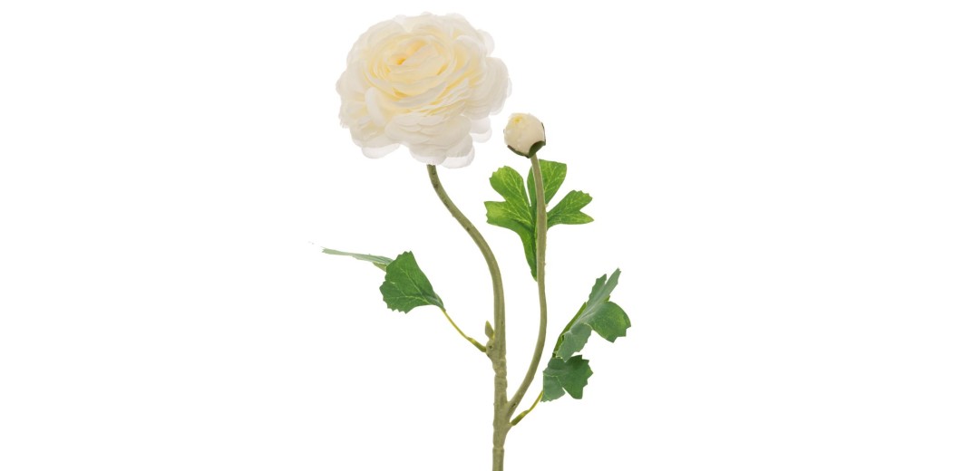 ΛΕΥΚΟ ΚΛΑΔΙ ΤΡΙΑΝΤΑΦΥΛΛΟ 60ΕΚ