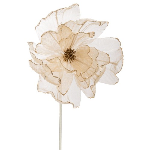 ΣΑΜΠΑΝΙ ΟΡΓΑΝΖΑ ΜΑΝΩΛΙΑ ΚΛΑΔΙ 60ΕΚ