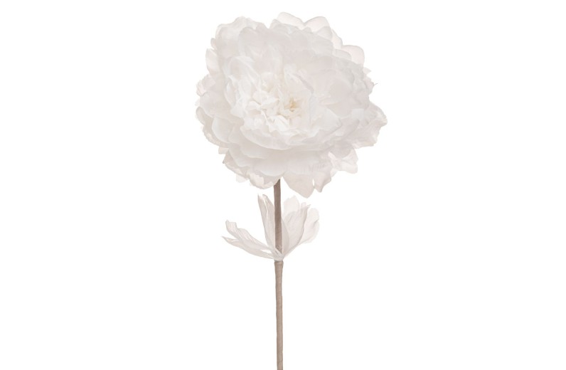 ΛΕΥΚΟ ΚΛΑΔΙ ΠΑΙΩΝΙΑ 63ΕΚ