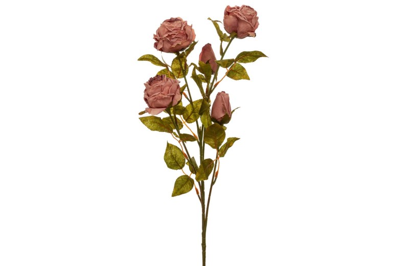 ΣΑΠΙΟ ΜΗΛΟ ΚΛΑΔΙ ΤΡΙΑΝΤΑΦΥΛΛΟ 70ΕΚ Χ5