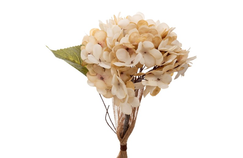 ΚΡΕΜ ΚΛΑΔΙ ΟΡΤΑΝΣΙΑ 33ΕΚ