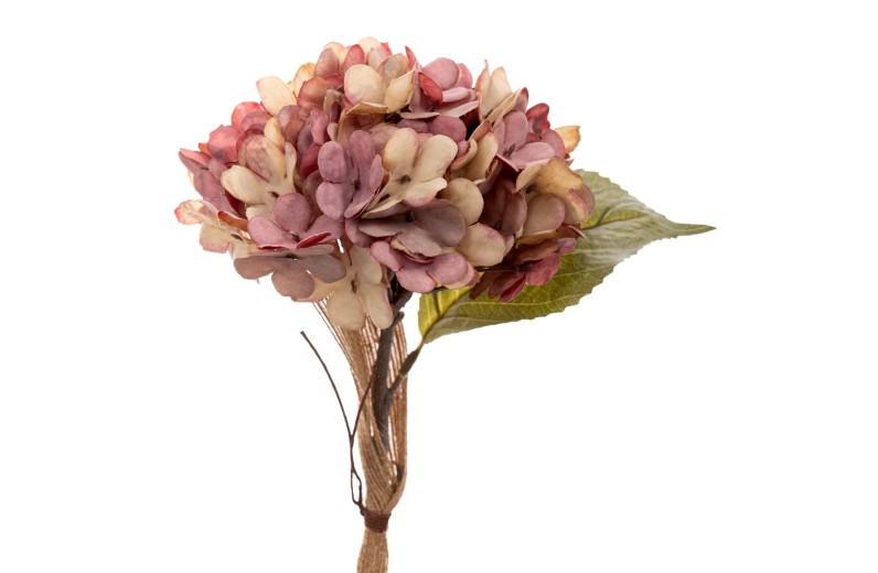 ΣΑΠΙΟ ΜΗΛΟ ΚΛΑΔΙ ΟΡΤΑΝΣΙΑ 33ΕΚ