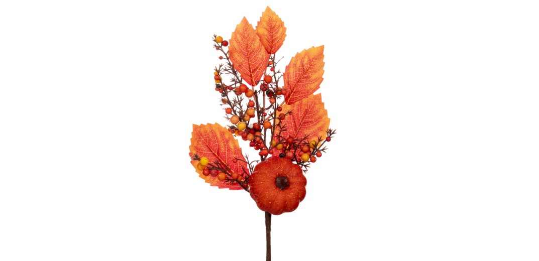 ΦΘΙΝΟΠΩΡΙΝΟ ΚΛΑΔΙ ΜΕ ΠΟΡΤΟΚΑΛΙ ΦΥΛΛΑ ΚΑΙ ΚΑΡΠΟΥΣ 40ΕΚ