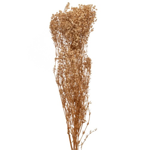 ΚΡΕΜ ΜΠΟΥΚΕΤΟ ΓΥΨΟΦΙΛΛΗ 120gr