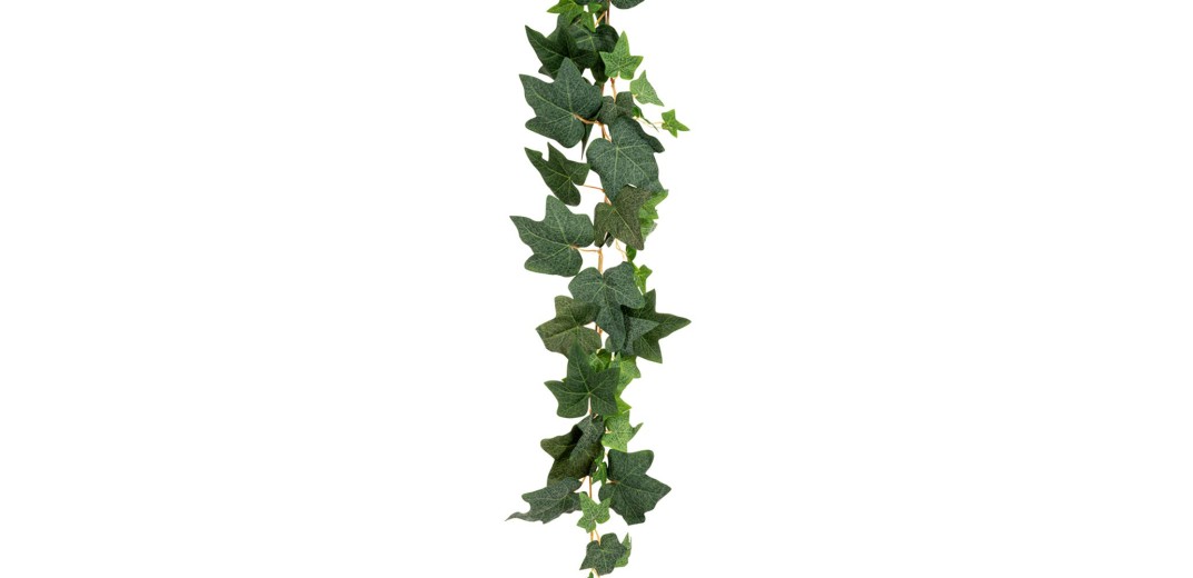ΓΙΡΛΑΝΤΑ ΚΙΣΣΟΣ COATED 180ΕΚ