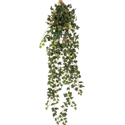 ΚΙΣΣΟΣ COATED ΚΡΕΜΑΣΤΗ ΠΡΑΣΙΝΑΔΑ 110ΕΚ ΜΕ ΜΙΚΡΑ ΦΥΛΛΑ