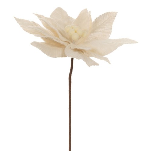 ΛΕΥΚΟ ΑΛΕΞΑΝΔΡΙΝΟ ΠΙΚ 30Χ50ΕΚ