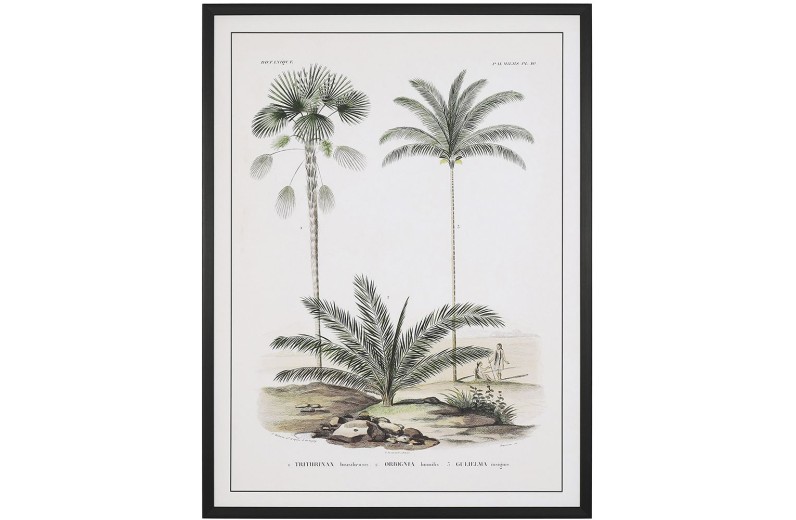 ΠΙΝΑΚΑΣ 60Χ80 ΕΚ ΡΕΤΡΟ ΘΕΜΑ ΜΕ ΦΟΙΝΙΚΕΣ, ΤΥΠΩΜΑ ΣΕ ΚΑΜΒΑ