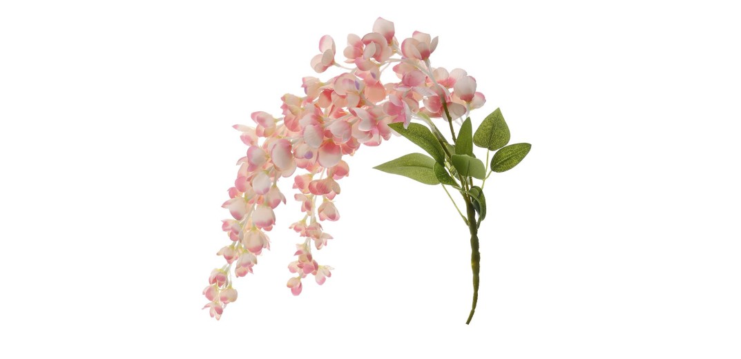 ΚΡΕΜΑΣΤΗ ΡΙΖΑ ΡΟΖ ΑΚΑΚΙΑ  60εκ