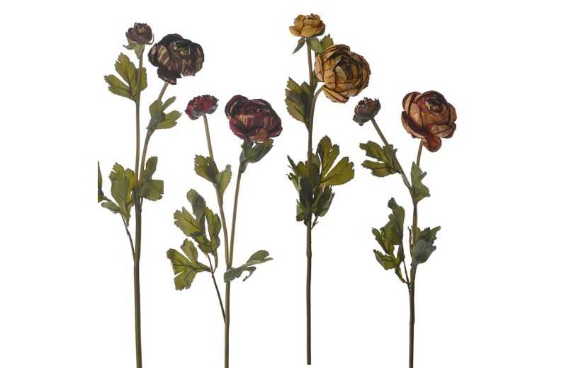 ΚΛΑΔΙ ΝΕΡΑΓΚΟΥΛΑ Χ2 63ΕΚ 4 ΧΡΩΜΑΤΑ