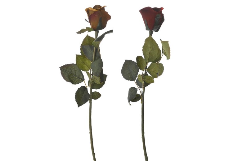 ΚΛΑΔΙ ΤΡΙΑΝΤΑΦΥΛΛΟ ΜΠΑΚΑΡΑΣ 71EK