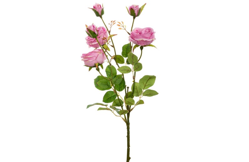 ΛΙΛΑ ΚΛΑΔΙ ΤΡΙΑΝΤΑΦΥΛΛΟ Χ6 66ΕΚ