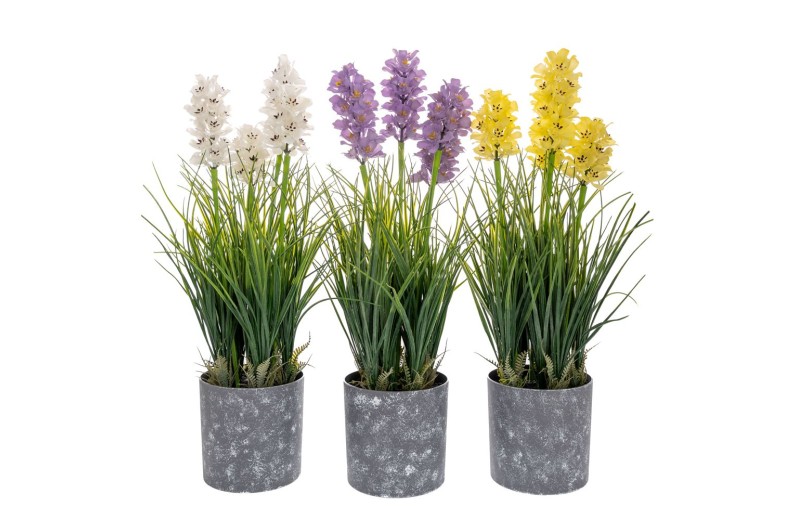 ΓΛΑΣΤΡΑΚΙ 13Χ52ΕΚ ΥΑΚΙΝΘΟΣ 3 ΧΡΩΜΑΤΑ ΣΕ ΓΚΡΙ ΠΛΑΣΤΙΚΟ ΚΑΣΠΩ