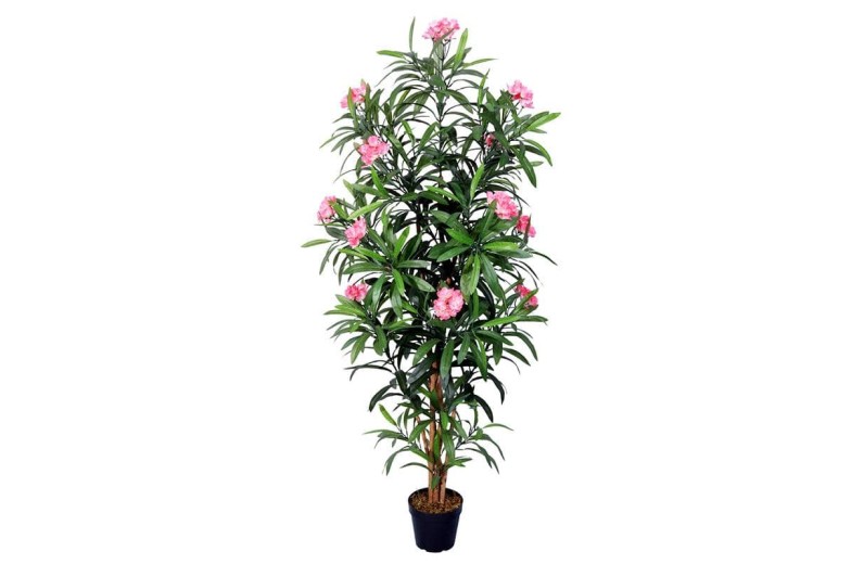 INART ΔΕΝΤΡΟ ΣΕ ΓΛΑΣΤΡΑ PL ΠΡΑΣΙΝΟ/ΡΟΖ Υ150 - 150cm