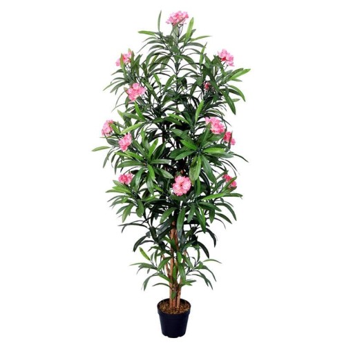 INART ΔΕΝΤΡΟ ΣΕ ΓΛΑΣΤΡΑ PL ΠΡΑΣΙΝΟ/ΡΟΖ Υ150 - 150cm
