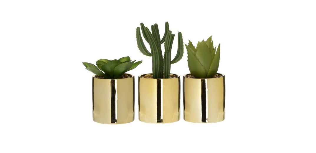INART ΦΥΤΟ ΣΕ ΓΛΑΣΤΡΑ 3 ΣΧΕΔΙΑ Δ6Χ12 - 6cm x 14cm x 6cm