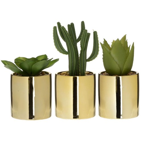 INART ΦΥΤΟ ΣΕ ΓΛΑΣΤΡΑ 3 ΣΧΕΔΙΑ Δ6Χ12 - 6cm x 14cm x 6cm