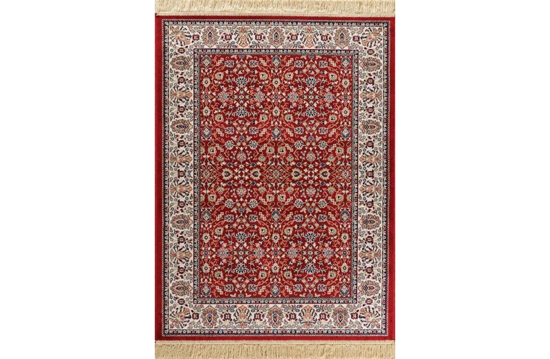 ΧΑΛΙ SONIA 240/301220 - 100X140  NewPlan