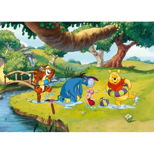 0709FTDm ΦΩΤΟΤΑΠΕΤΣΑΡΙΑ Ο (MAXI) DISNEY A&G 160*115 NewPlan