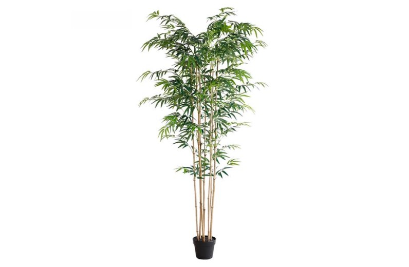BAMBOO  NP0070_210 ΥΨΟΣ 210cm NewPlan