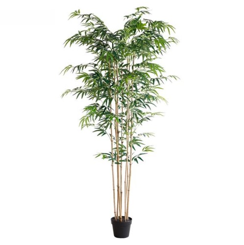 BAMBOO  NP0070_210 ΥΨΟΣ 210cm NewPlan