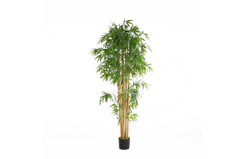 BAMBOO  NP0076_210 ΥΨΟΣ 210cm NewPlan
