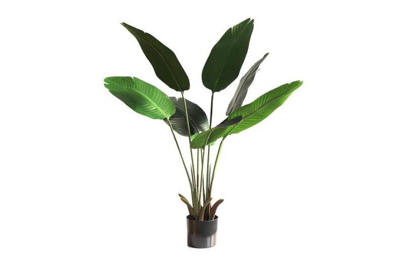 BANANA TREE NP1410_120  ΥΨΟΣ 120cm NewPlan