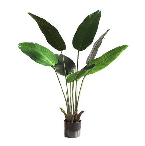 BANANA TREE NP1410_120  ΥΨΟΣ 120cm NewPlan