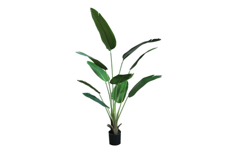 BANANA TREE NP1411_160  ΥΨΟΣ 160cm NewPlan
