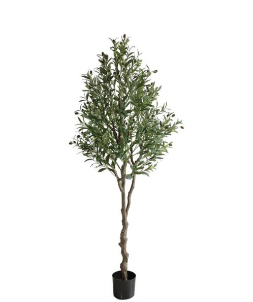 OLIVE TREE NP410_180  ΥΨΟΣ 180cm NewPlan