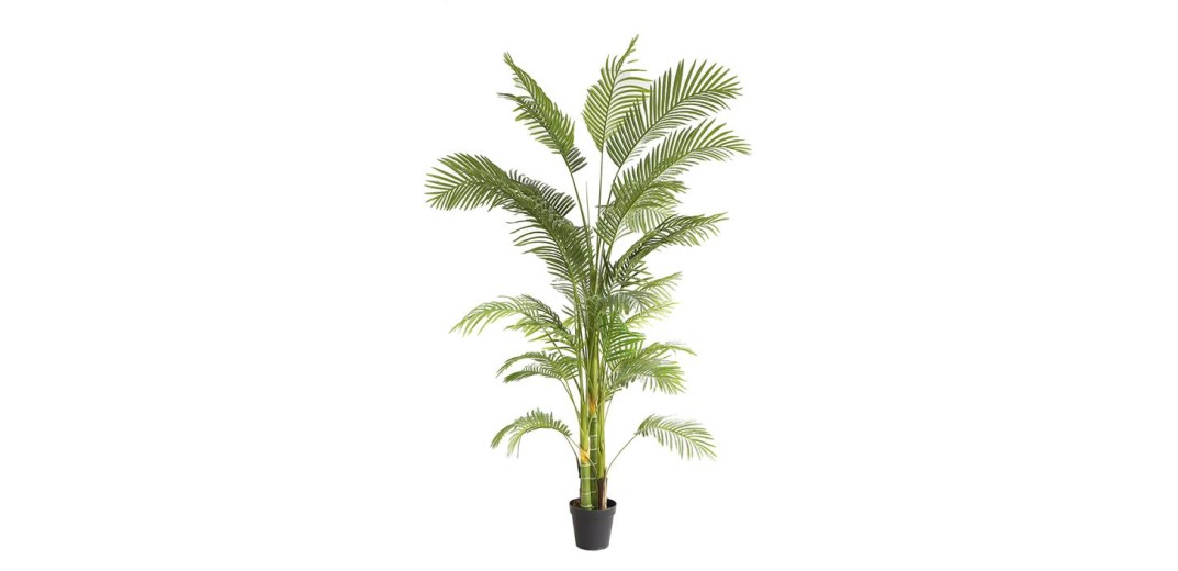 PALM TREE  NP5500_240_22 ΥΨΟΣ 240cm NewPlan