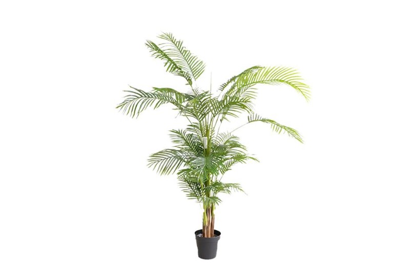 PALM TREE  NP5502_180_22   ΥΨΟΣ 180cm NewPlan
