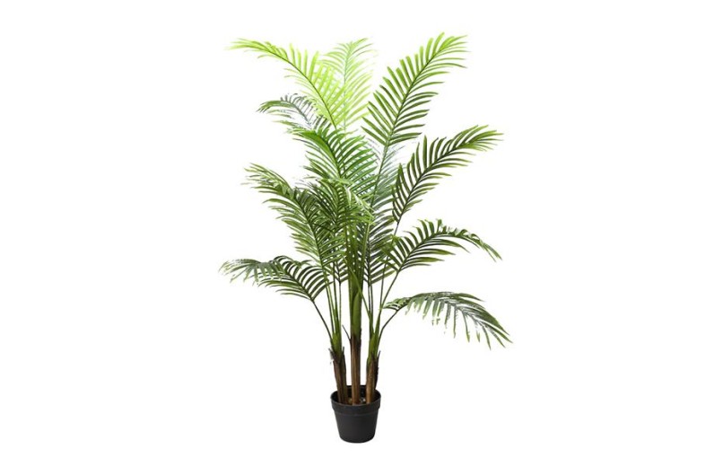 PALM TREE  NP5505_150_22  ΥΨΟΣ 150cm NewPlan
